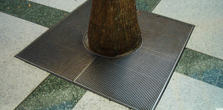 image-tree-grates