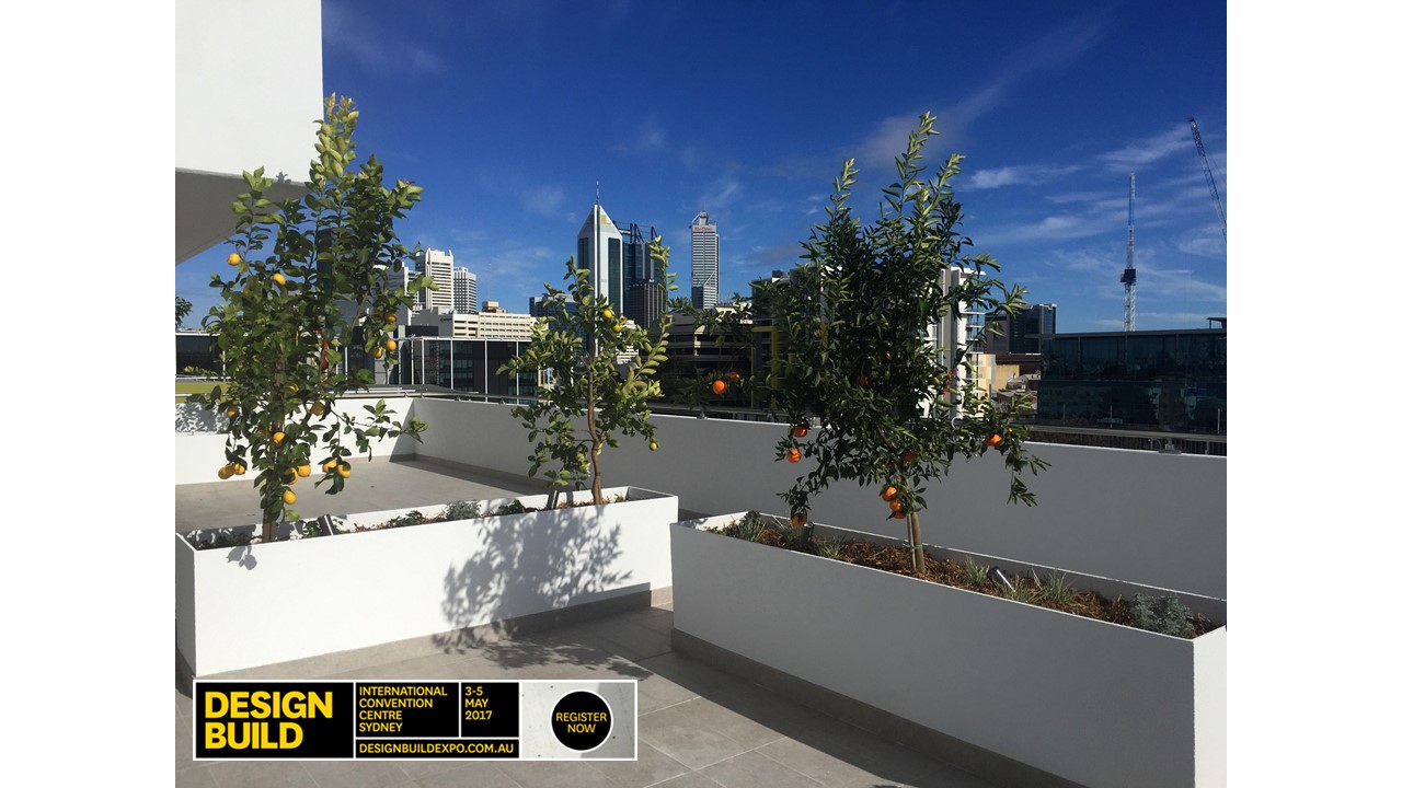 design build planter boxes on high rise building with plants